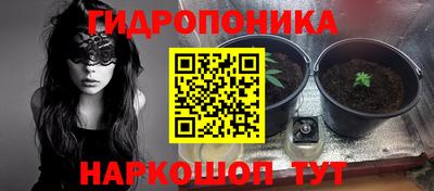 эйфоретик Бугуруслан